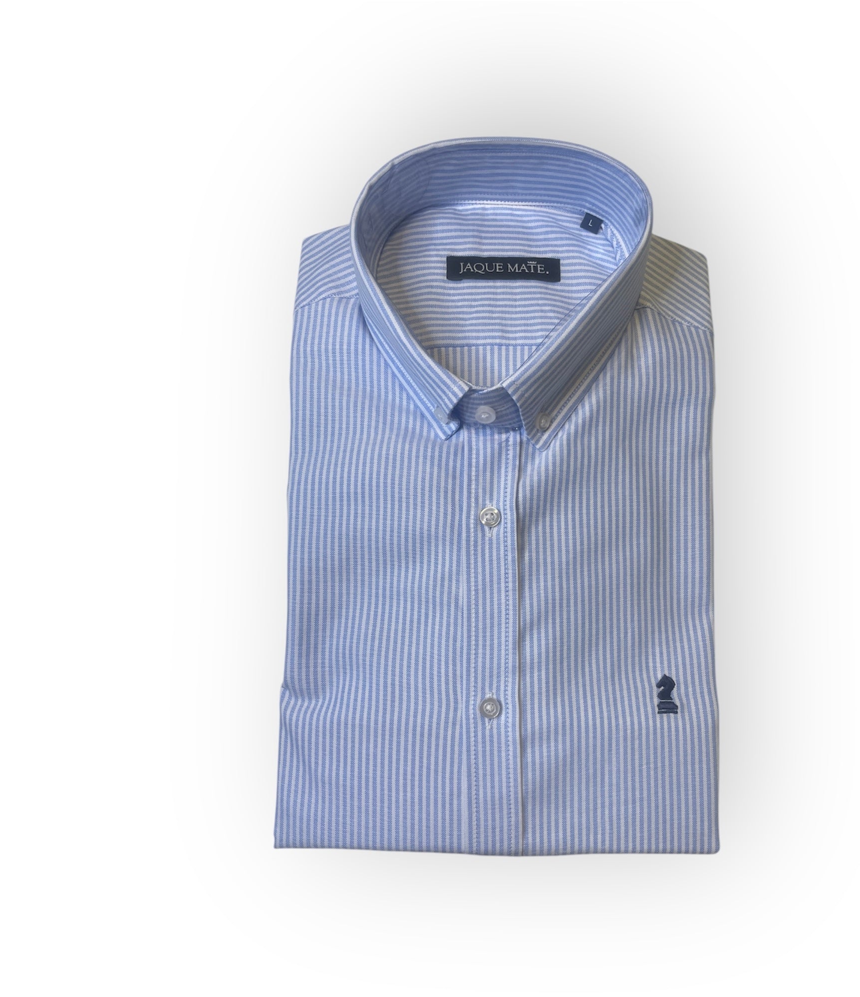 CAMISA OXFORD RAYA AZUL